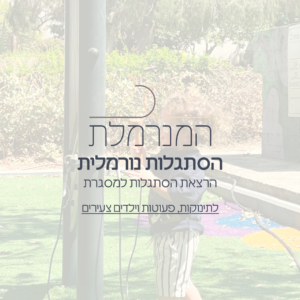 הסתגלות נורמלית - הסתגלות למסגרת